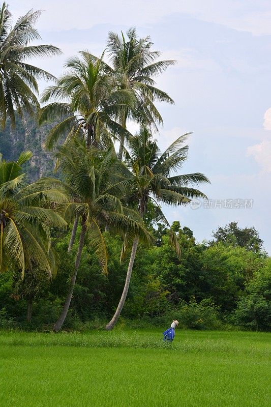 泰国Khao Nang Phanthurat森林公园的稻草人